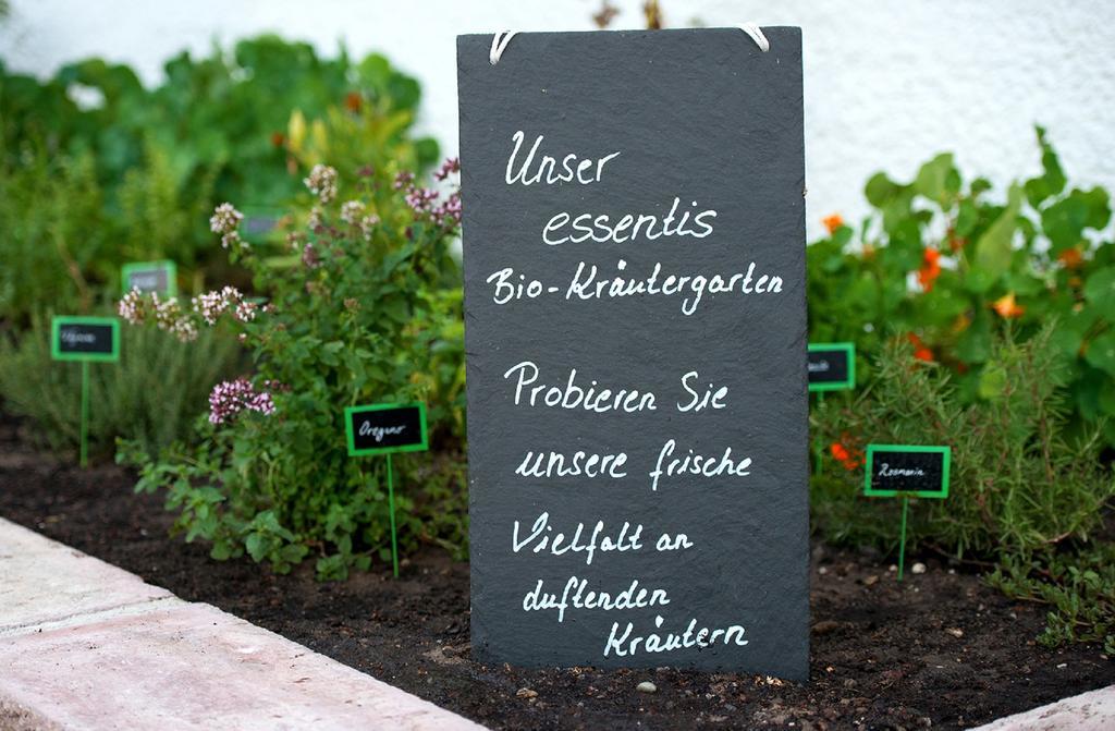 Essentis Ecohotel Berlin Eksteriør billede